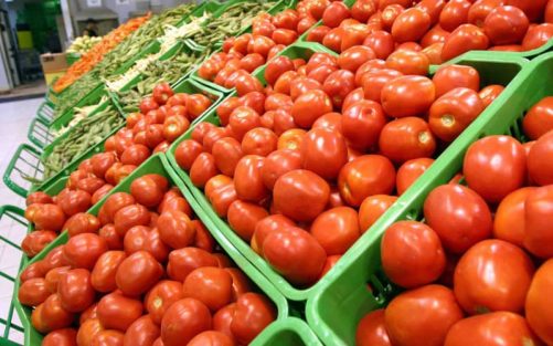 Un parti britannique qualifie les taxes imposées sur les tomates marocaines de « ridicules » et appelle à leur annulation