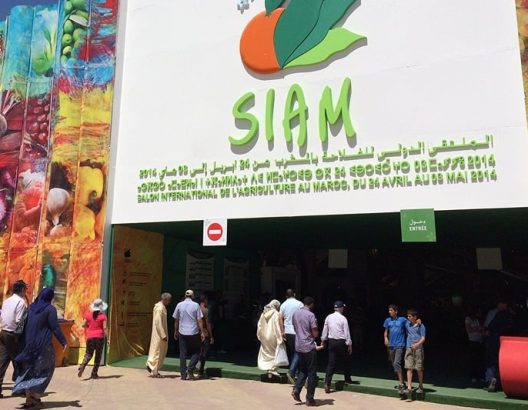 SIAM, la foire agricole « la plus prestigieuse » d’Afrique du Nord (ministère espagnol)
