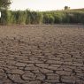 Des demandes parlementaires pour réviser les politiques agricoles afin de faire face à la sécheresse et garantir la sécurité alimentaire