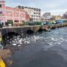 Le port de Ceuta annonce le plus grand déversement de pétrole de son histoire et active le « protocole de pollution »
