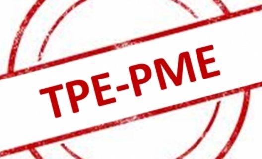 PME-TPE marocaines : Stagnation ou essor imminent ?