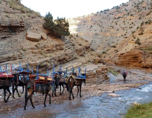 Rapport : La concentration des projets de développement dans les grandes agglomérations pourrait creuser les inégalités territoriales